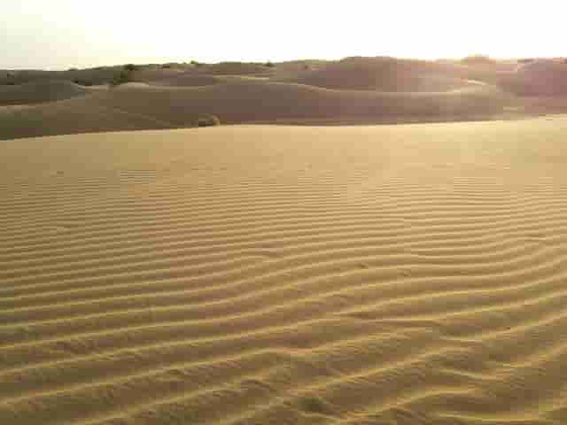 砂漠（SABAKU）の風景